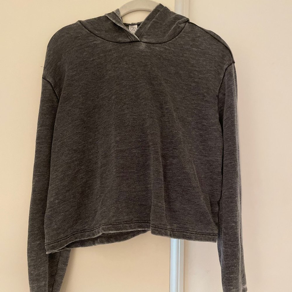 Alternative Apparel cropped hoodie sweatshirt, M
